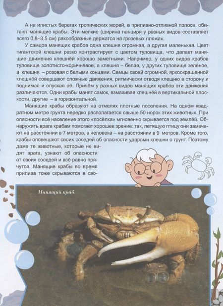 Фотография книги "Бабенко: Животные строят "