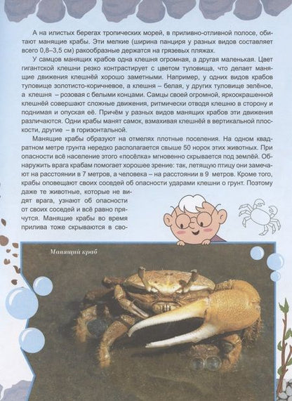 Фотография книги "Бабенко: Животные строят "