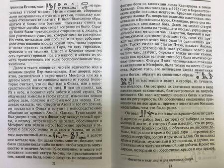 Фотография книги "Бадж: Египет времен Тутанхамона. История правления легендарного фараона"