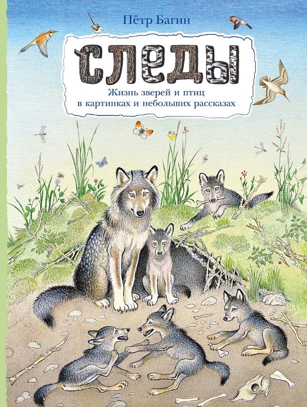 Обложка книги "Багин Петр: Следы"