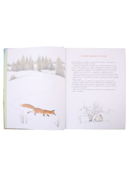 Фотография книги "Багин Петр: Следы"