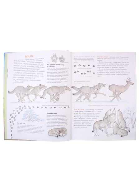 Фотография книги "Багин Петр: Следы"