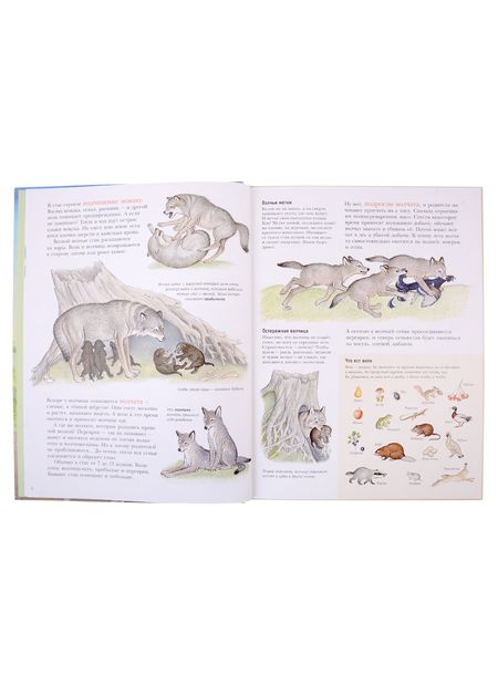 Фотография книги "Багин Петр: Следы"