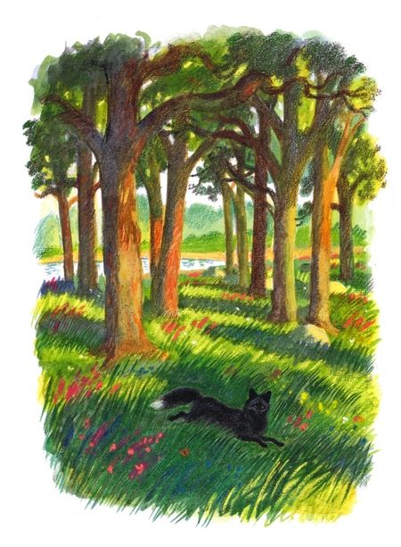 Фотография книги "Байерс: Лиса в ночи"