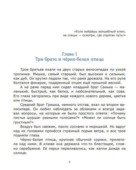 Фотография книги "Байки бабки сороки"