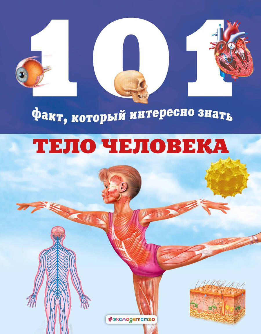 Обложка книги "Бакеро, Домингес: Тело человека"