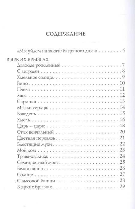 Фотография книги "Бальмонт: Птицы в воздухе"