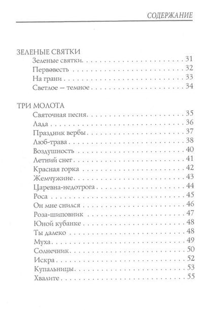 Фотография книги "Бальмонт: Птицы в воздухе"