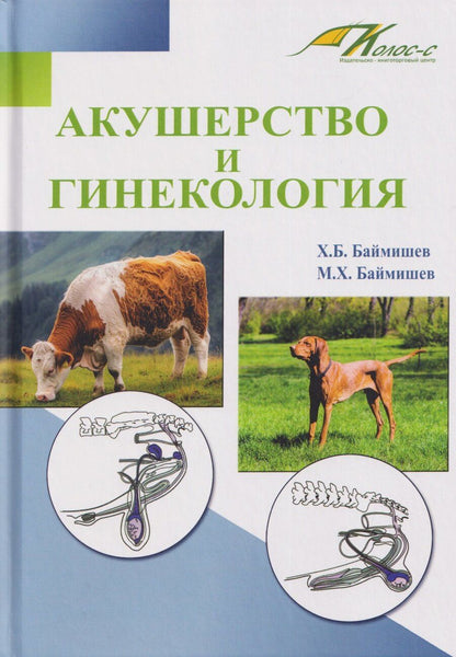 Обложка книги "Балтуханович, Хамидуллович: Акушерство и гинекология. Учебное пособие"