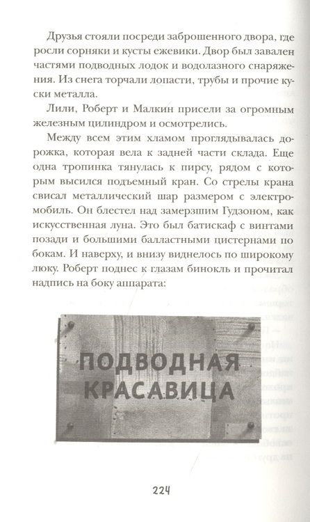 Фотография книги "Банзл Питер: Подводные тайны"