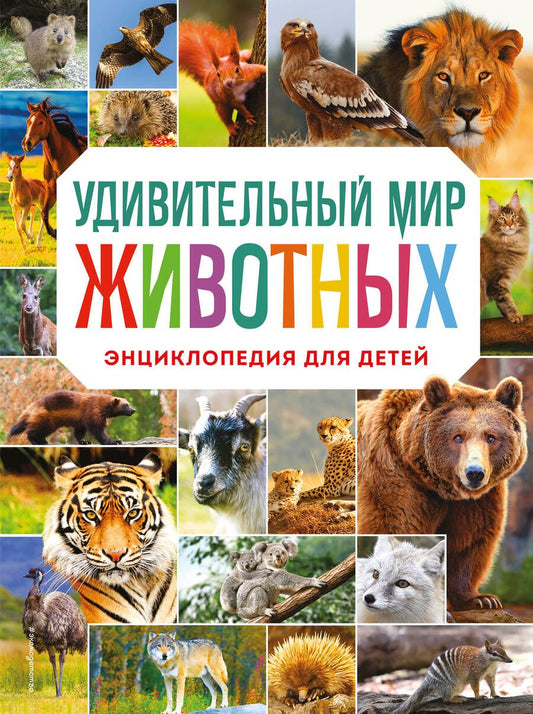 Обложка книги "Баранова: Удивительный мир животных. Энциклопедия для детей"