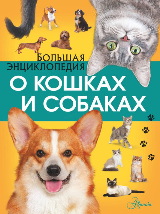 Обложка книги "Барановская, Смирнов, Вайткене: Большая энциклопедия о кошках и собаках"