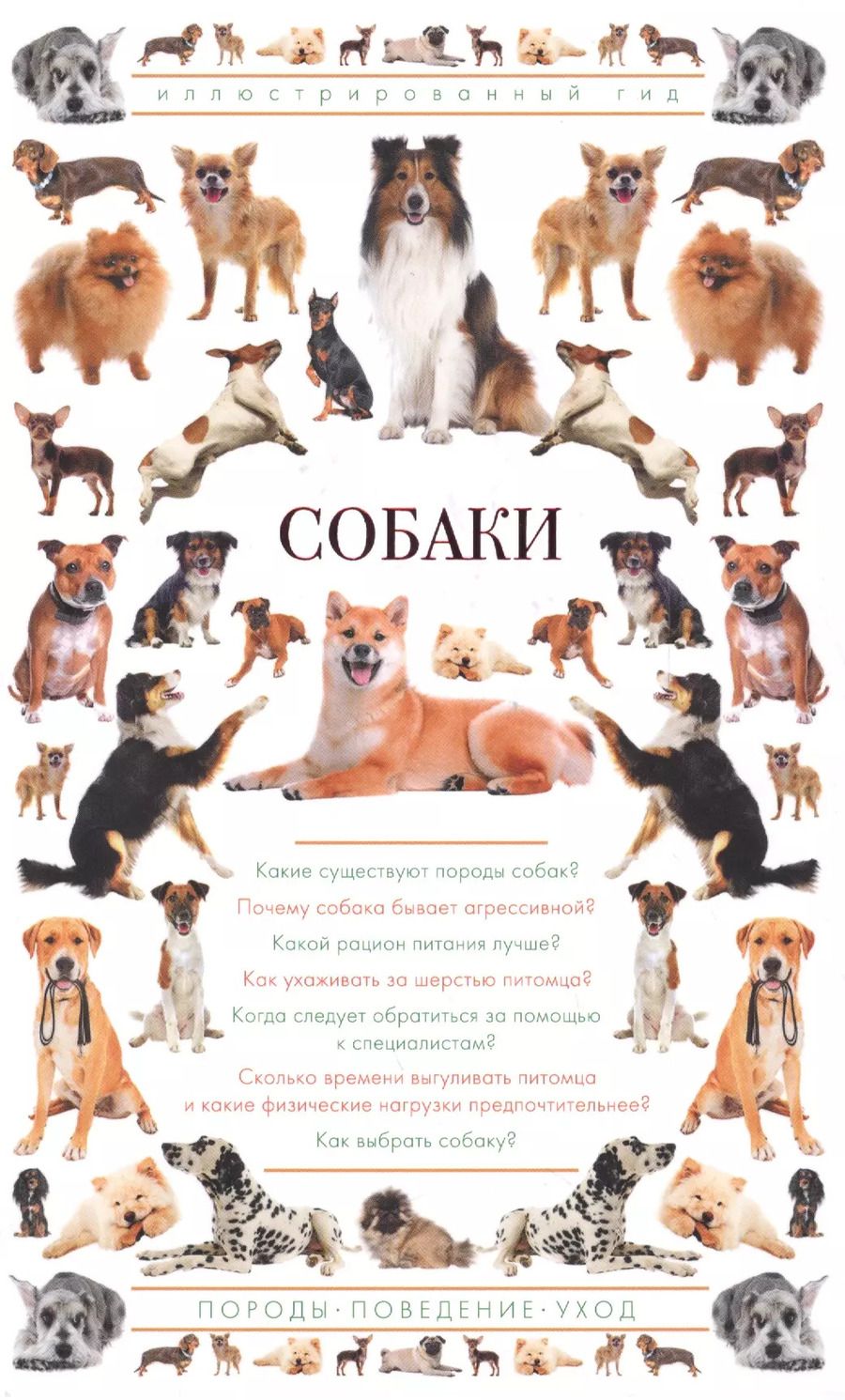Обложка книги "Барановская, Вайткене, Хомич: Собаки. Иллюстрированный гид"
