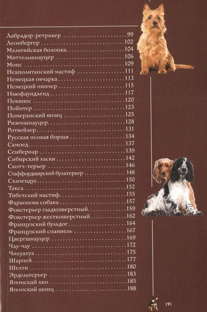 Фотография книги "Барановская, Вайткене, Хомич: Собаки. Иллюстрированный гид"