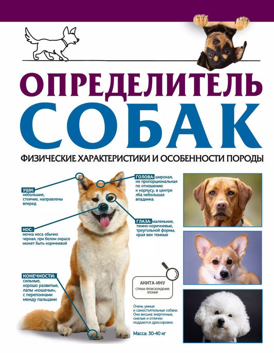 Обложка книги "Барановская, Вайткене, Прудник: Определитель собак. Физические характеристики и особенности породы"