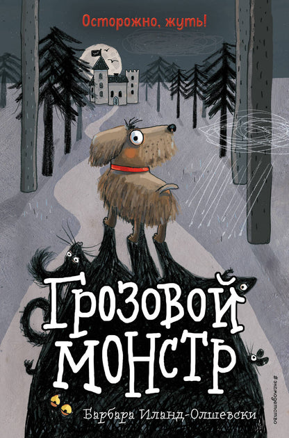 Обложка книги "Барбара Иланд-Олшевски: Грозовой монстр"