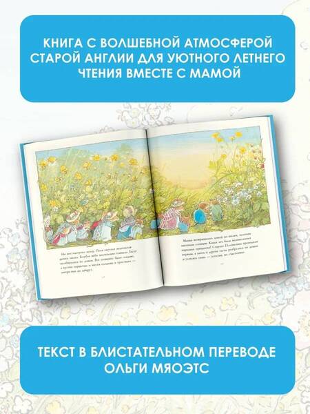 Фотография книги "Барклем: Летняя история"