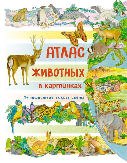 Обложка книги "Барсотти: Атлас животных в картинках. Путешествие вокруг света"