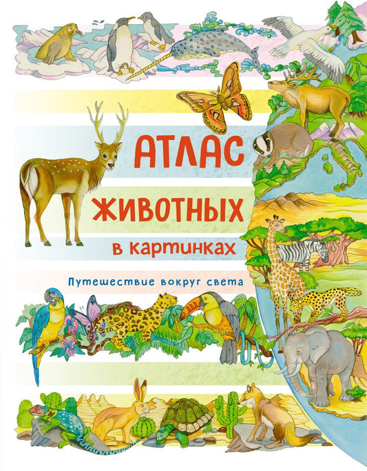 Обложка книги "Барсотти: Атлас животных в картинках. Путешествие вокруг света"