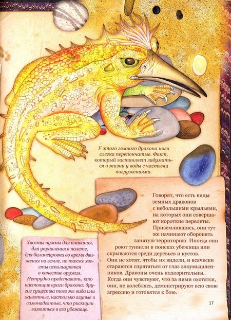 Фотография книги "Барсотти: Драконы"