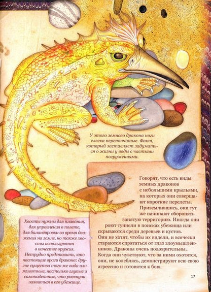 Фотография книги "Барсотти: Драконы"