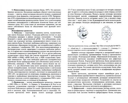 Фотография книги "Барсуков: Цитология, гистология, эмбриология. Учебное пособие"