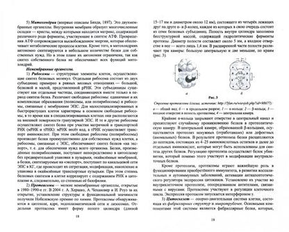 Фотография книги "Барсуков: Цитология, гистология, эмбриология. Учебное пособие"