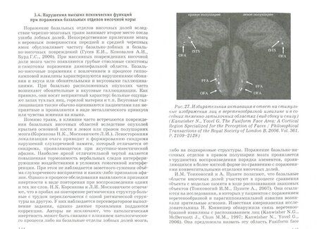 Фотография книги "Баулина: Нейропсихология. Учебник для вузов"