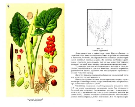 Фотография книги "Бажов: Отравления животных ядовитыми растениями. Учебное пособие"