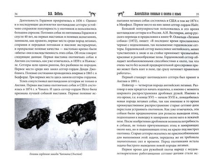 Фотография книги "Бедель: Английские легавые и охота с ними"