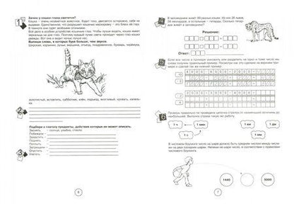 Фотография книги "Беденко, Фролова: Занимательная летняя школа. Все предметы в одной тетради: Авторская методика. 4-5 класс"