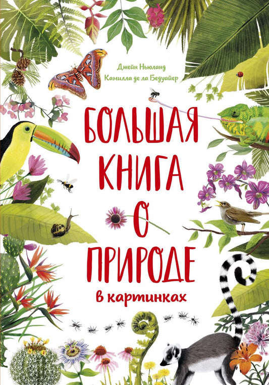 Обложка книги "Бедуайер: Большая книга о природе в картинках"