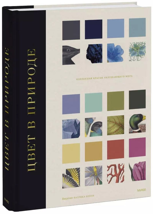Обложка книги "Бейти, Дэвидсон, Чарвот: Цвет в природе. Коллекция красок окружающего мира"