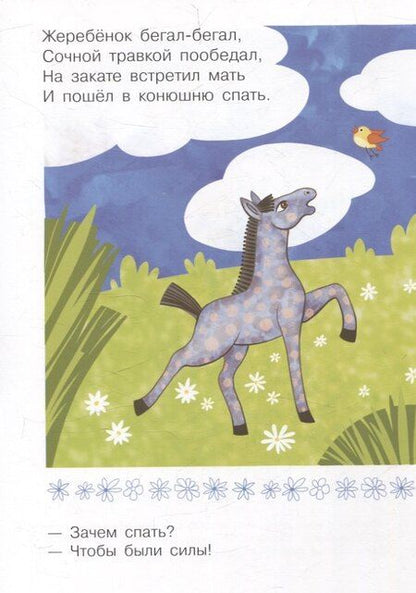 Фотография книги "Белкина, Шварц: Зачем спать?"