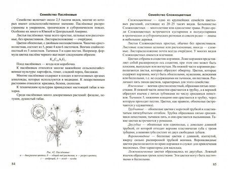 Фотография книги "Белякова, Зданович, Ростовцева: Биология. Ботаника. Зоология"