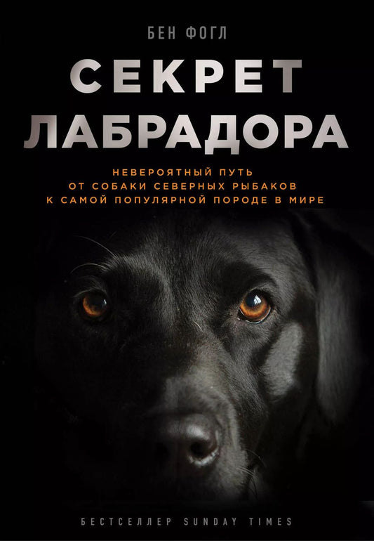 Обложка книги "Бен Фогл: Секрет лабрадора. Невероятный путь от собаки северных рыбаков к самой популярной породе в мире"