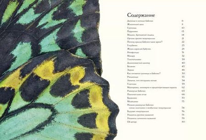 Фотография книги "Бен Ротери: Загадочный мир бабочек"