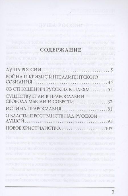 Фотография книги "Бердяев: Душа России"