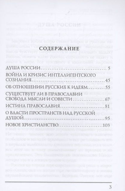 Фотография книги "Бердяев: Душа России"