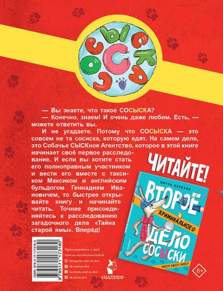 Фотография книги "Березин: Первое криминальное дело Сосыски"