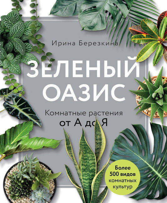 Обложка книги "Березкина: Зеленый оазис. Комнатные растения от А до Я"
