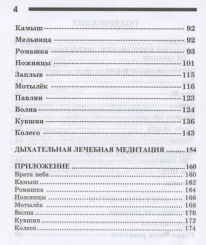 Фотография книги "Берг, Берг: Теория и практика тайцзи-цигун"