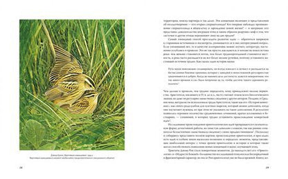 Фотография книги "Беркхед: Иллюстрированная история орнитологии"