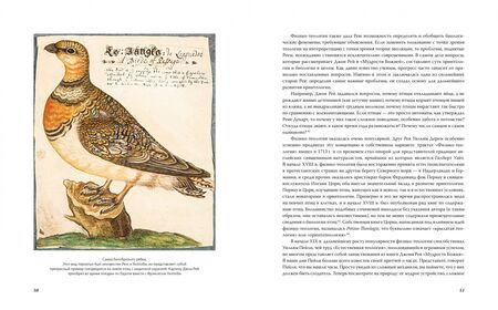 Фотография книги "Беркхед: Иллюстрированная история орнитологии"