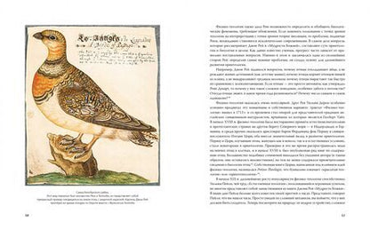 Фотография книги "Беркхед: Иллюстрированная история орнитологии"