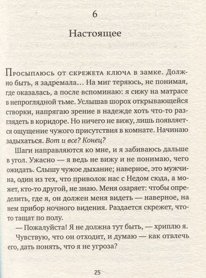 Фотография книги "Бернадетт Энн: Похищение"