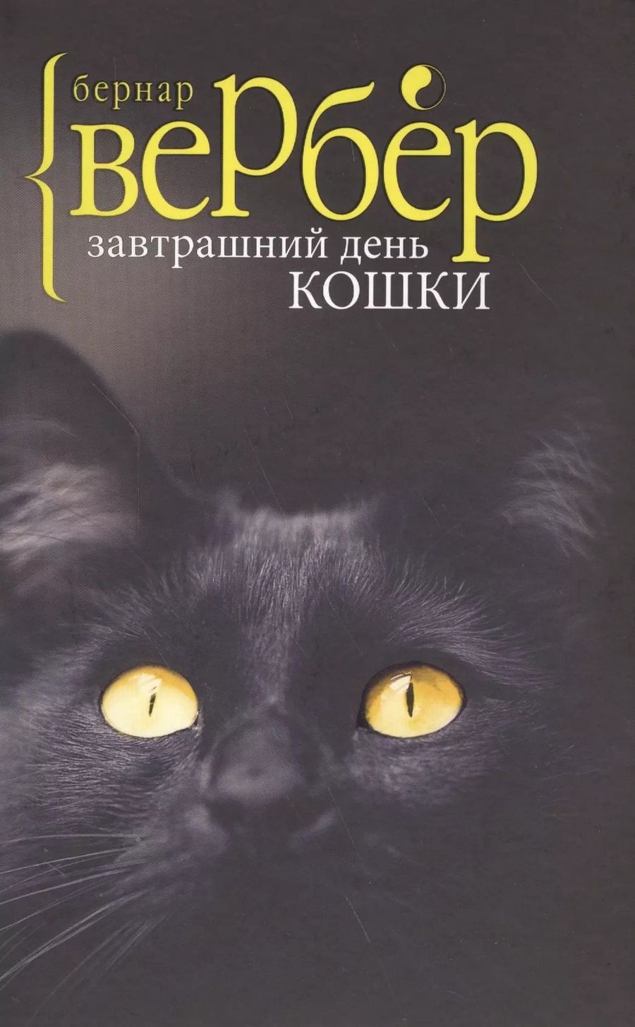 Обложка книги "Бернар Вербер: Завтрашний день кошки"