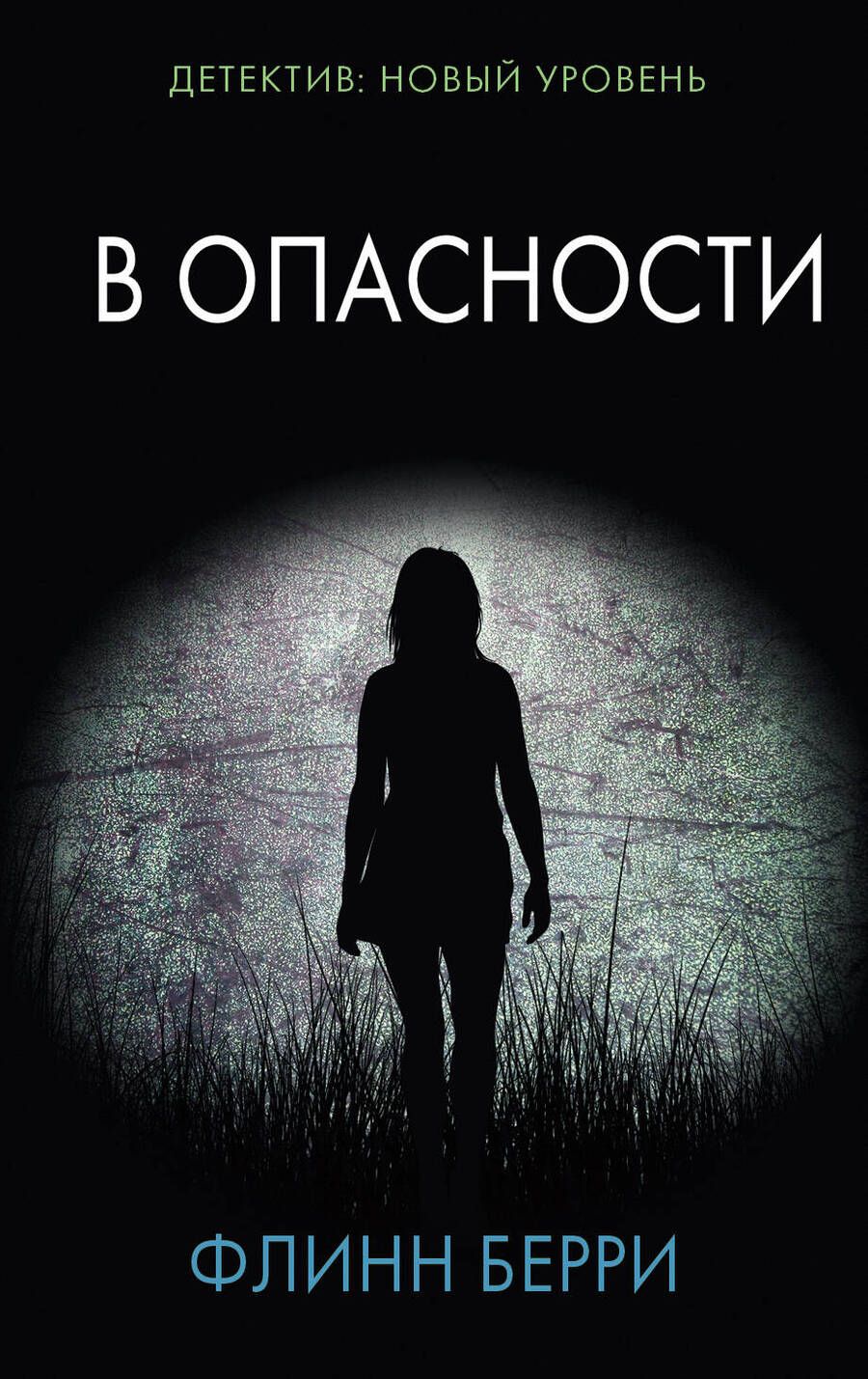 Обложка книги "Берри: В опасности"