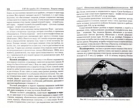 Фотография книги "Бессарабов, Остапенко: Хищные птицы. Диагностика, лечение и профилактика заболеваний, методы содержания"