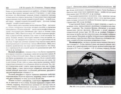 Фотография книги "Бессарабов, Остапенко: Хищные птицы. Диагностика, лечение и профилактика заболеваний, методы содержания"